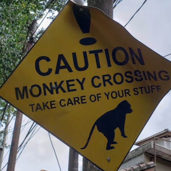 Meet your Posher, Alexis - Picture 1 of 1